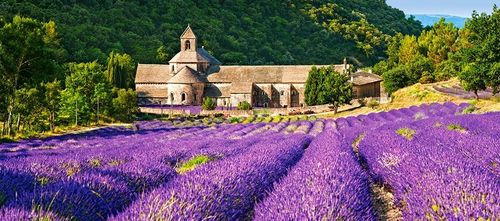 Castor 600 elementów Francja, Notre Dame de Senanque na Arena.pl