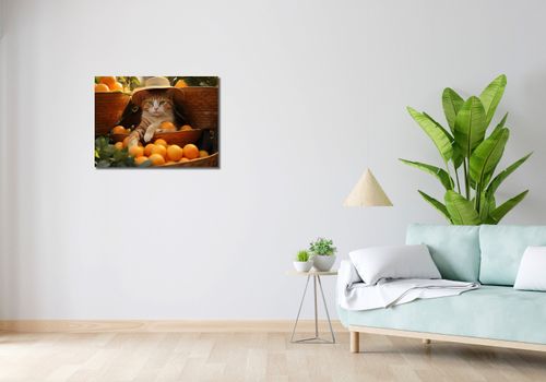 Obraz 70x50cm Letni Odpoczynek na Arena.pl