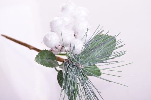 Gałązka stroik z owocami na Arena.pl