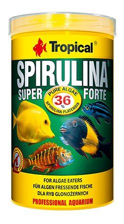 Tropical Spirulina Super Forte 36% 1000ml 190g zdjęcie 3