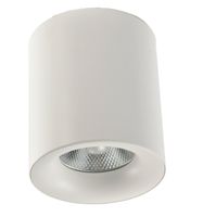 Spot Dann Lux Design Erto DLD5203 Biały