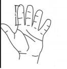 STABILIZATOR SZYNOWY ORTEZA PALCA SZYNA NA PALEC na Arena.pl