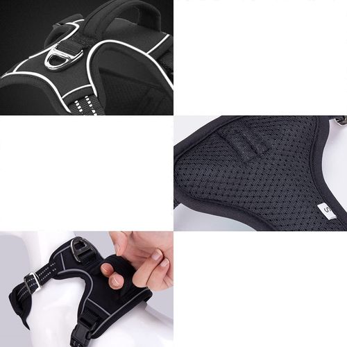 MOCNE SZELKI GUARD dla psa ALASKA odblask red M na Arena.pl