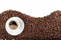 product-compare-62091677