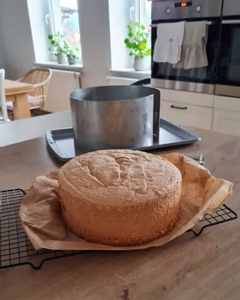 RANT OPASKA DO PIECZENIA TORTU REGULOWANA DOROSIOWE RANTY 12-15 H14cm zdjęcie 6