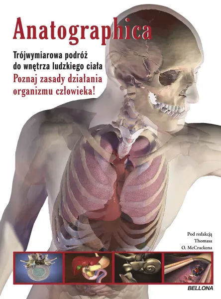 Anatographica zdjęcie 1