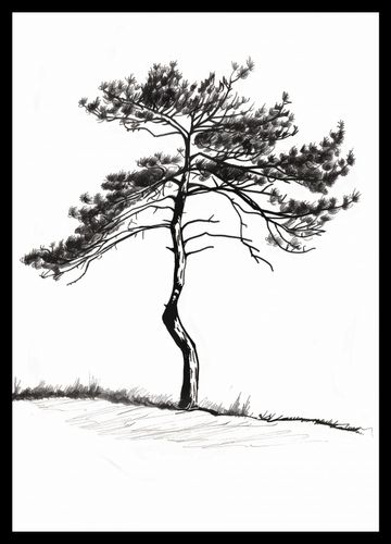 Plakat 29,7x42cm Samotna Sosna na Arena.pl