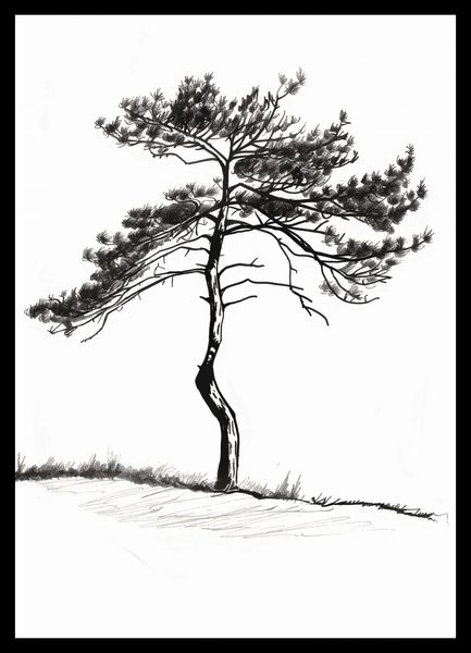 Plakat 29,7x42cm Samotna Sosna zdjęcie 2