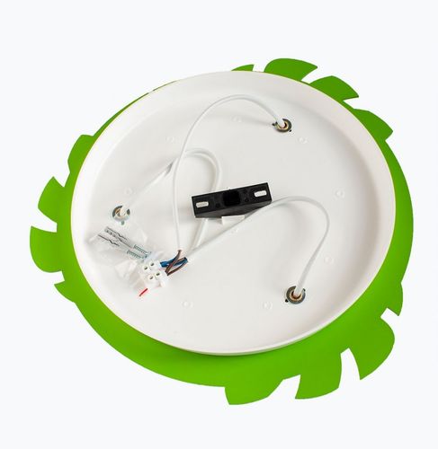 Safari 5248520 na Arena.pl