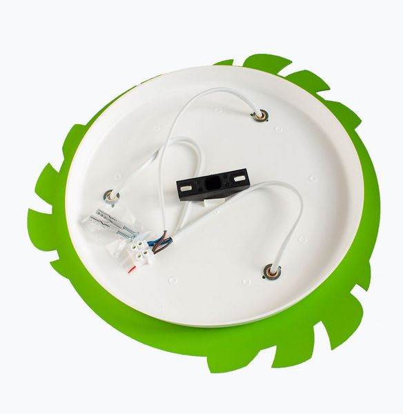 Safari 5248520 zdjęcie 3