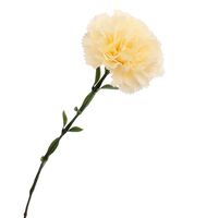 GOŹDZIK KREMOWY POJEDYNCZY SZTUCZNY KWIAT DŁUGA GAŁĄZKA 70cm