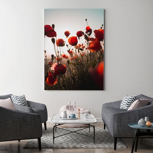 Obraz na płótnie – Canvas, maki w słońcu 60x90 na Arena.pl