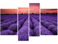 OBRAZ LAWENDOWY GAJ SUNSET