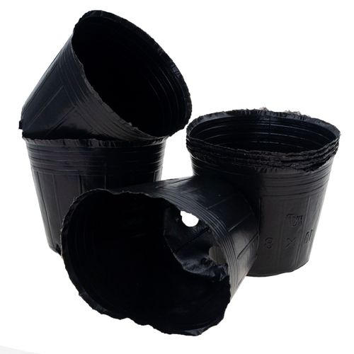 DONICZKI PRODUKCYJNE DO ROZSAD UPRAW WYSIEWU SADZONKI 10SZT/KPL 10X10X na Arena.pl