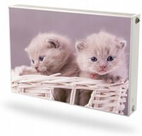 Mata magnetyczna magnes na grzejnik na wymiar SŁODIE KOTKI W KOSZYKU 60x100