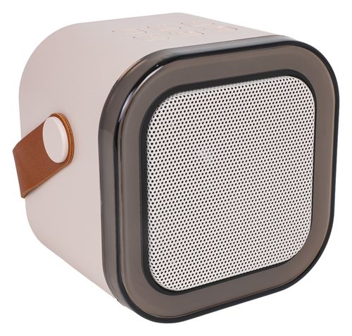 Zestaw Karaoke Mikrofon I Głośnik na Arena.pl