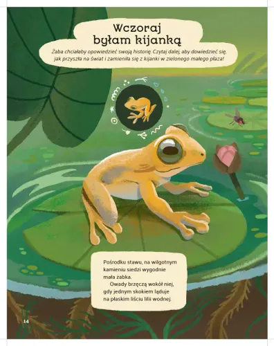 Leśne Opowieści na Arena.pl