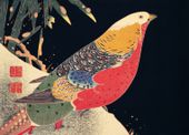 Plakat 70x50cm Golden Pheasant, Jakuchu Japoński Vintage