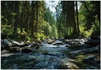 Fototapeta Na Flizelinie Do Sypialni Salonu Las 400x280