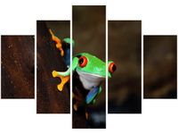 105CM 150CM OBRAZ 5 ELEM CHWYTNICA CZERWONOOKA DRUK