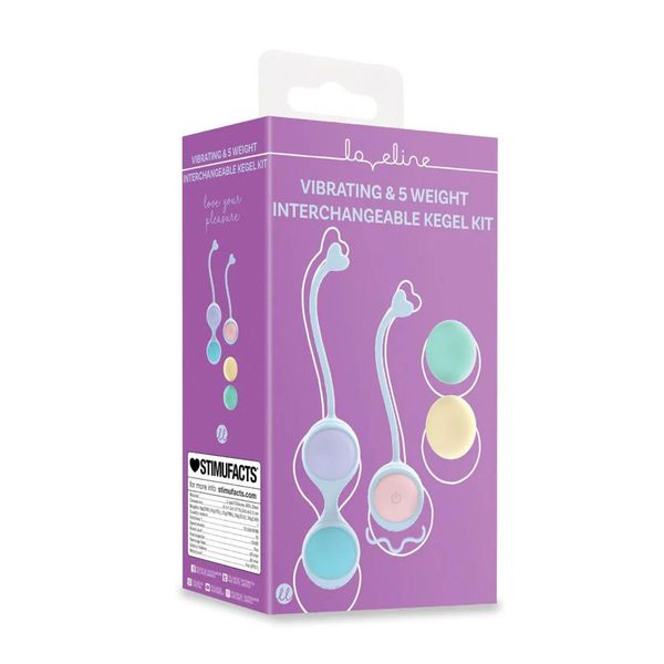 Vibrating And 5 Weight Interchangeable Kegel Kit With Remote Control - zdjęcie 2