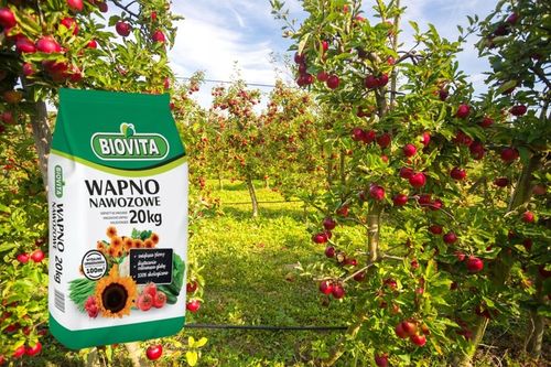 Wapno Nawozowe Pyliste Naturalne Źródło Wapnia dla Gleby 20kg Biovita na Arena.pl