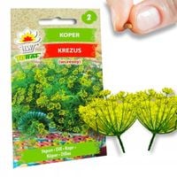 KOPER NASIONA KOPRU OGRODOWY KREZUS WCZESNY DO KISZENIA 5G