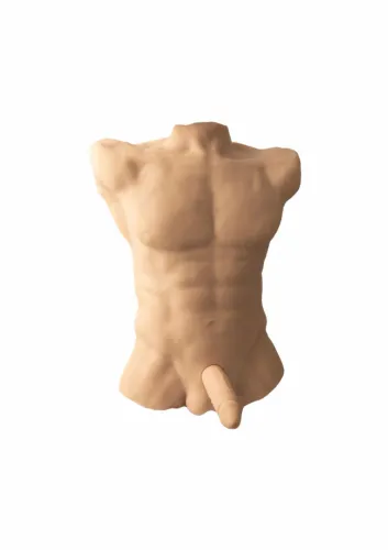 silex-d silicone torso large model 7" apollo l - anatomiczny korpus na Arena.pl