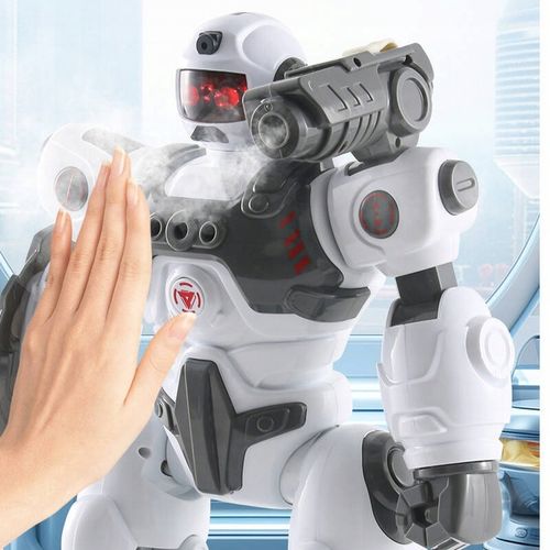 MULTIFUNKCYJNY ROBOT STEROWANY STRZELA STRZAŁKAMI PARĄ PILOT PROGRAMOWANIE na Arena.pl