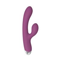 Dual rabbit vibrator