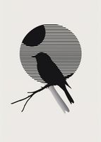 Plakat 50x70cm Kontrast Smukłości