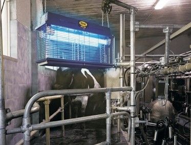 Lampa Rażąca CRI CRI 307A Professional na Arena.pl