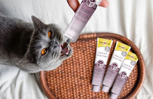 GIMCAT PASTA ODKŁACZAJĄCA DLA KOTA MALT SOFT 400g na Arena.pl