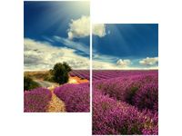 60X60CM LAWENDOWY KRAJOBRAZ DWU OBRAZ ŚCIAN