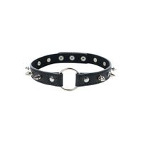 adjustable collar with spikes