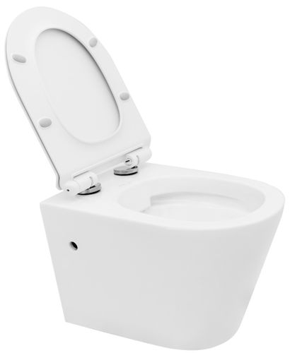 Misa WC Tomas na Arena.pl