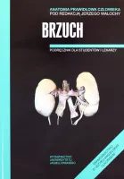 Anatomia Prawidłowa Człowieka. Brzuch. Podręcznik Dla Studentów I Lekarzy