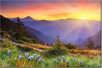 product-compare-58694292