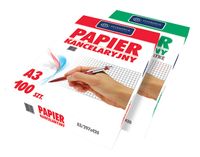 papier kancelaryjny a3/100k linia 60g 0041