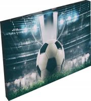 OBRAZ do pokoju murawa puchar piłka nożna 120x80