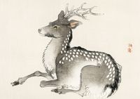 Plakat 29,7x21cm Elk, Kōno Bairei Japoński Vintage do Salonu