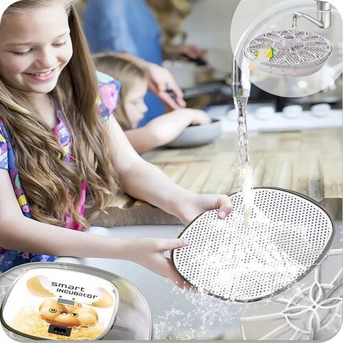 INKUBATOR DO JAJ AUTOMATYCZNY (12 JAJ) WYLĘGARKA KLUJNIK Z OBRACANIEM 35 W na Arena.pl