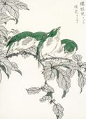 Plakat 40x55cm White-Eye, Kashu Japoński Vintage do Salonu