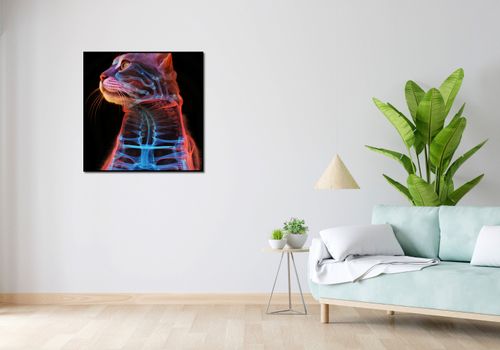 Plakat 80x80cm Anatomia Kota na Arena.pl