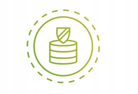 Thin Client Dell Wyse 5070 Celeron 8GB 256SSD SSD+Podstawka+Myszka zdjęcie 4