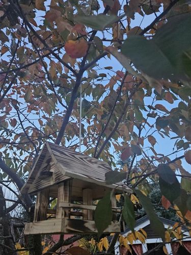 Solidny Drewniany KARMNIK XXL DLA PTAKÓW karmik opalane drewno na Arena.pl