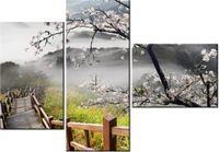 product-compare-58708237