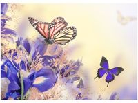 50X70CM MOTYLKI OBRAZ POKOJU DREWNINE