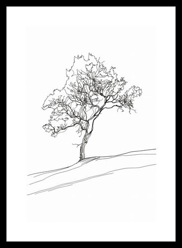 Plakat 20x30cm Drzewo w Zarysie na Arena.pl