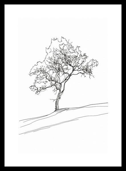 Plakat 20x30cm Drzewo w Zarysie zdjęcie 3